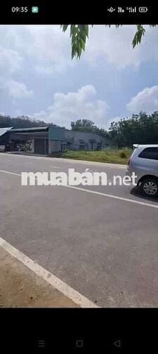 Đất sào giá rẻ đường ĐH-605 Chánh Phú Hòa 8.000m² giá 12,6 tỷ chốt KTL