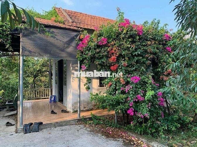 4000m2 ĐẤT XUÂN QUẾ CÓ SẲN NHÀ