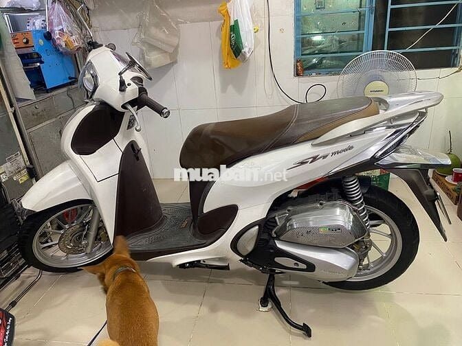 SH Mode trắng hiếm – chính chủ nữ, xe như mới 99%