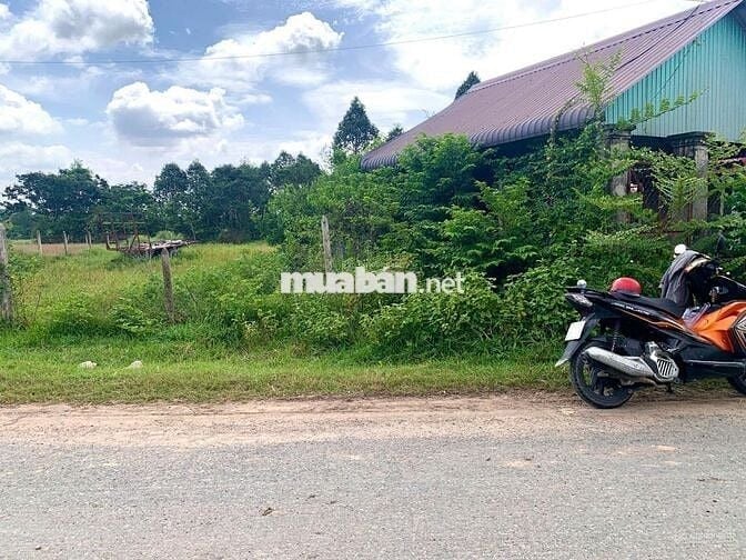 Bán lô đất 500m2 Tỉnh Lộ 7 gần chợ Phước Thạnh Củ Chi, SHR, giá 1,3 tỷ