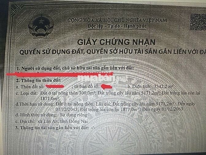 Cơ hội sở hữu đất Tân An, Vĩnh Cửu, Đồng Nai Chủ đi nước ngoài cần bán