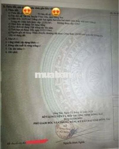 Bán đất Tân An, Vĩnh Cửu, Đồng Nai