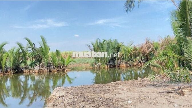 CẦN BÁN ĐẤT SỔ HỒNG , PHƯỚC KHÁNH , NHƠN TRẠCH , ĐỒNG NAI