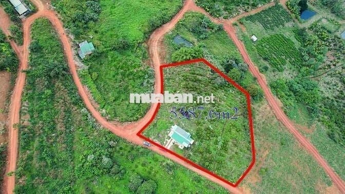 Bán đất CC 2MT 100m Lộc Tân,view hồ Ngọc,ngay nút giao cao tốc, TTHC