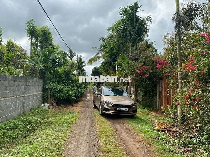 🔥 4 sào đất Sầu Riêng + Tiêu đường KA6 Eatu ( Phường TÂN AN mới BMT )