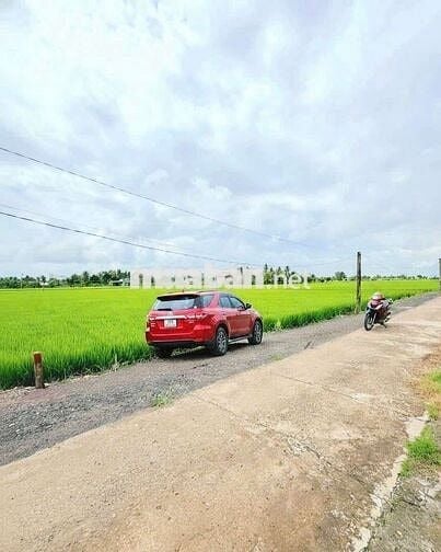 Hàng vip, 1000m2 đất lúa chuyển thổ gần KCN AN Nhựt Tân, chỉ 1.1 tỷ