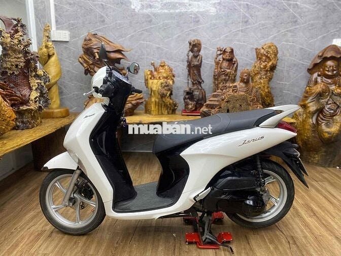 Janus đẹp, máy êm thì thầm bao vọt biển SG