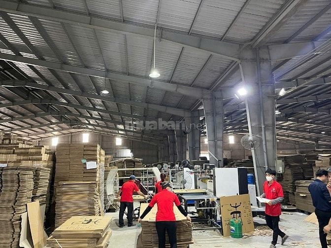 Nhân viên kinh doanh bao bì thùng carton