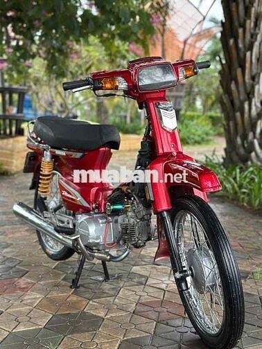 Honda Dream Thái 1998 Dọn Kiểng Bao Êm Xe Đẹp