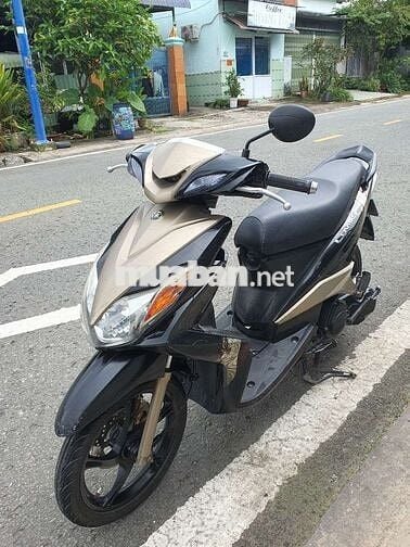 Luvias biển sg Zing keng nguyên bản