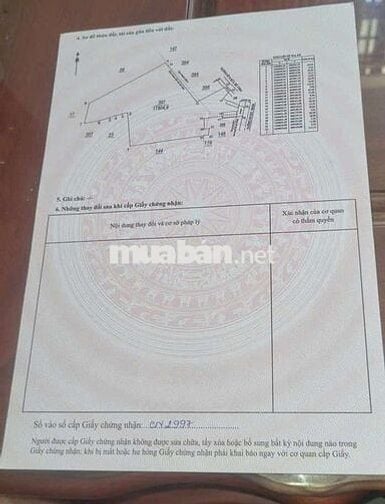 Đất mẫu giá rẻ đường ĐH-507 xã An Linh 1,8ha giá 10,9 tỷ