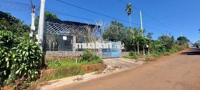 Đi định cư nước ngoài bán lỗ lô 889m2 giá 300 triệu có sẵn nhà cấp 4