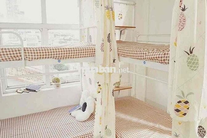 Cho thuê ký túc xá cao cấp – đầy đủ tiện nghi, có thang máy, hầm xe