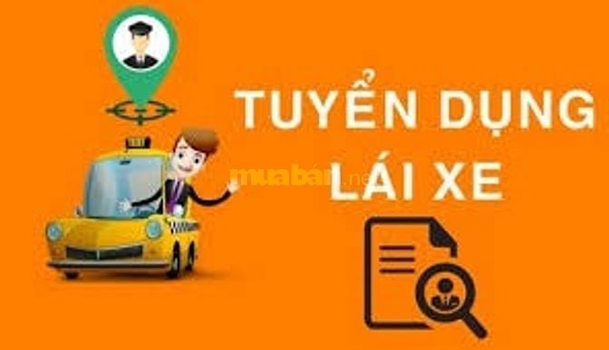 Tuyển nhân viên lái xe bê tông, lái máy xúc PC 50, PC 200