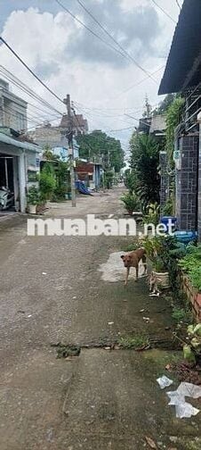 Cho thuê nhà tl 15 gần chung cư tl 2p ngủ giá 5tr5/th