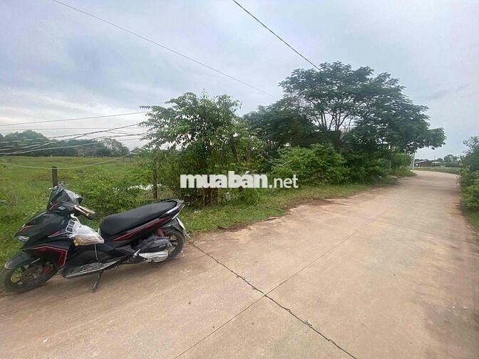 5x37 full thổ cư ,bê tông Lộc Hoà , SHR , đất bằng phẳng