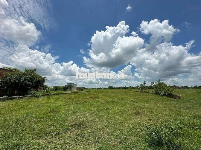 CHỦ NGỘP NGÂN HÀNG CẦN BÁN GẤP LÔ ĐẤT 1100M2 FULL THỔ CƯ, ĐƯC HOÀ, LA