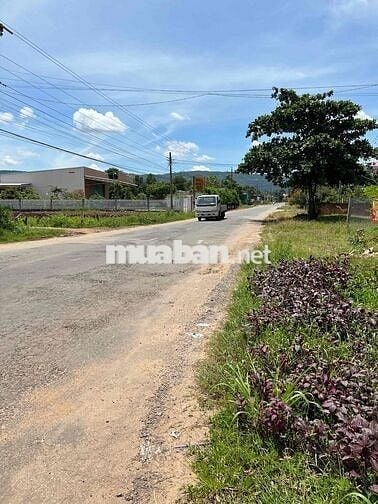 Chính chủ cần bán đất mặt tiền Đakai-Đức Linh - Bình Thuận- 1.39 Tỷ
