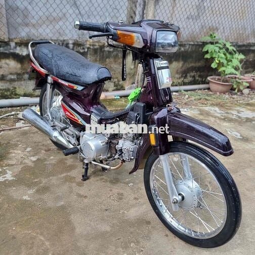 Draem Hq dọn fun new hồng hồ coso 2 cái biển 64 zi