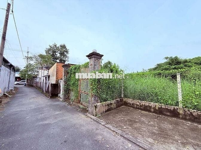 BÁN ĐẤT MT GIÁ RẺ DT 280M2 TÂN THẠNH ĐÔNG-CỦ CHI-NHỈNH 10 TRIỆU/M2