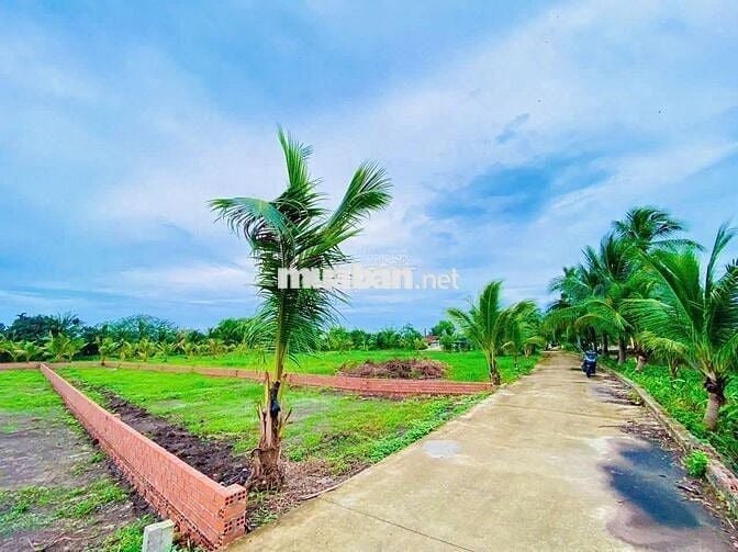 CẦN BÁN LÔ ĐẤT THỔ CƯ TRUNG TÂM TRẢNG BÀNG,TÂY NINH DIỆN TÍCH 800m2