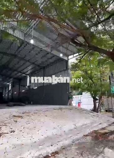 Cần cho thuê gấp kho diện tích 760m2 với giá rẻ ở Đường Huỳnh Tấn Phát