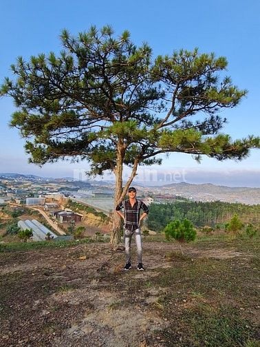 Hiện tôi đang cần việc làm mong ace hỗ trợ ạ