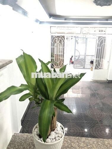 🏠 CHO THUÊ NHÀ NGUYÊN CĂN HẺM TRƯỜNG SƠN–Q10 (3,5*15m2) dọn vào ở ngay