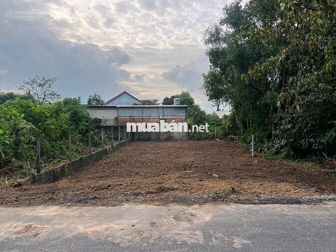 ĐẤT Ở 350 M2 MT ĐƯỜNG NHỰA XÃ THÁI MỸ, CỦ CHI, ĐÔNG DÂN CƯ GIÁ 1,7 TỶ