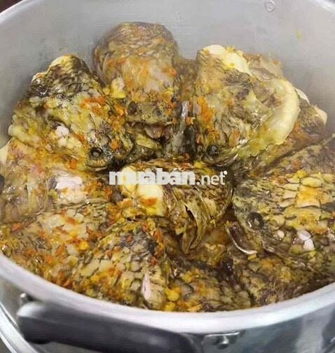 Cần sang lại quán bánh canh cá lóc,Đặng văn Mây,Dĩ An.