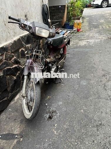 Bán dream lùn nhật