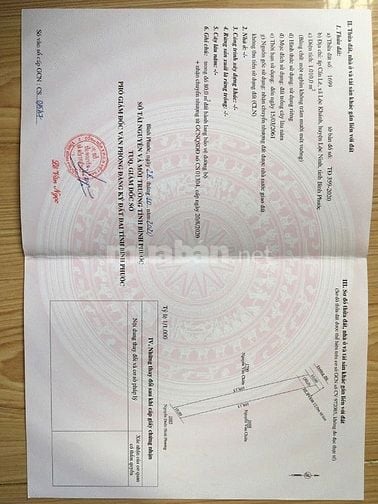 📣 BÁN ĐẤT LỘC KHÁNH, LỘC NINH 1.010M² – GIÁ CHỈ 550 TRIỆU – SỔ SẴN, Đ