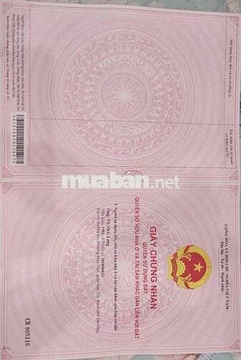 hàng chuẩn lợi thế về giá cần thanh khoản