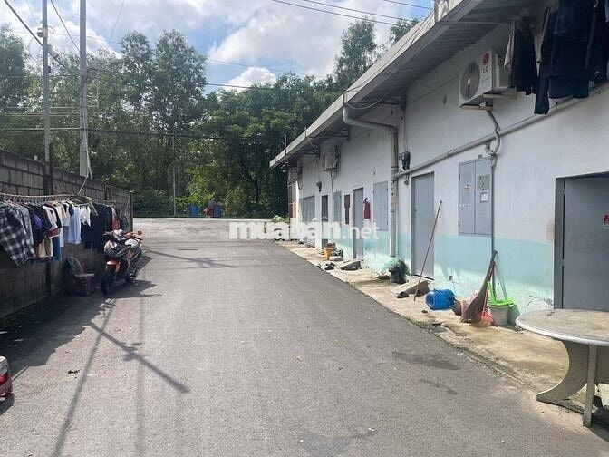 BÁN ĐẤT THỔ CƯ ĐƯỜNG CÂY TRÔM MỸ KHÁNH - THÁI MỸ - SỔ HỒNG RIÊNG