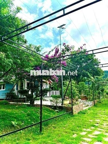 Bán lại lô đất 388m2 giá 489triệu sẵn căn bungalow - sân vườn - hồ cá