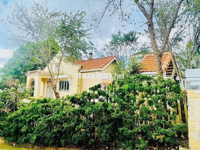 Cần bán nhanh lô đất 288,8m2 10x28,8m giá 589triệu có sẵn căn villa cũ
