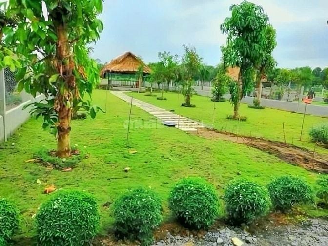 Đất nhà vườn giá ngộp gần TTHC xả Phú giáo 550tr /500m2 thổ cư sổ sẳn 