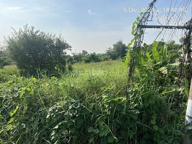 CÔNG TY ĐẤU GIÁ HỢP DANH MINH PHÁP THÔNG BÁO ĐẤU GIÁ TÀI SẢN