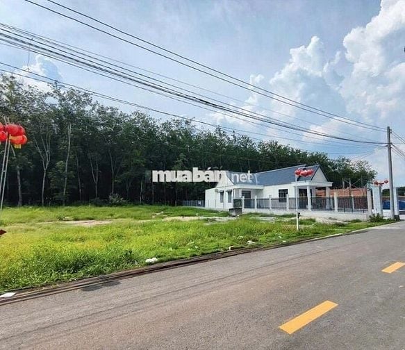 Sang lô đất đẹp cạnh chợ MT Dh504, SHR, khu dân cư kinh doanh sầm uất