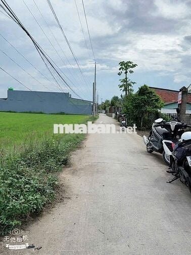 CẦN BÁN GẤP LÔ ĐẤT  - TẠI ẤP 8, XÃ NHỰT CHÁNH, BẾN LỨC, LONG AN