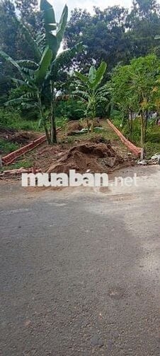 BÁN LÔ ĐẤT 5X25 THỔ CƯ ĐƯONG 7M ĐUONG THẠNH AN 07 P THẠNH AN