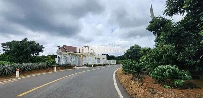 Bán lô đất vườn cafe + trái cây nguồn thu ổn định ven Đà Lạt