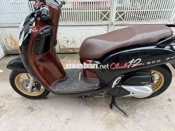 2021 xe đep may zin xe đung chủ