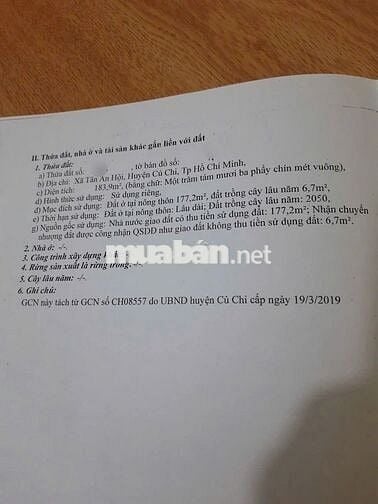 Bán dãy trọ cạnh KCN Tây Bắc, Củ Chi 183m2, 1kiot+6 phòng, SHR, 1tỷ2