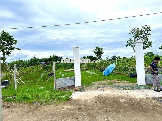 Đất vườn 1600m2, ngay TT Gò Dầu, TN, SHR, dân cư sầm uất, giá 1,5 tỷ