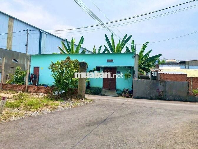 ✅ ĐẤT 1/ NGUYỄN VĂN KHẠ–TÂN AN HỘI: 94m2 (5x19) . Giá 1 tỷ 300