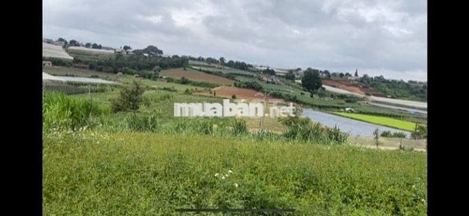 Bán đất nền Xã Ka Đô - H. Đơn Dương - Lâm Đồng ; SH 189 m2; TC 72m2;