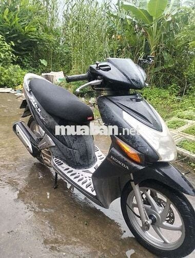 Xe zin máy êm ru biển 65