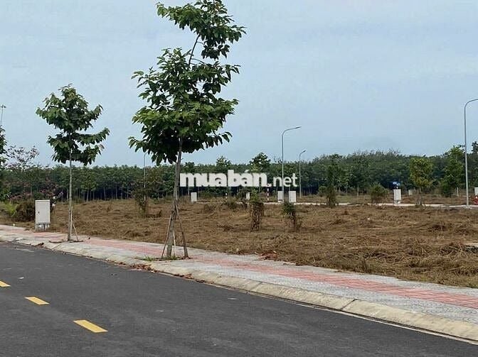 BÁN NHANH ĐẤT NỀN 81M2- FULL THỔ CƯ - SỔ HỒNG SẴN