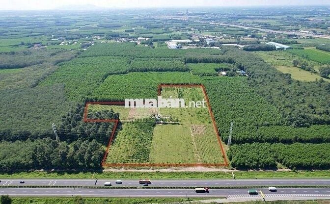 4,8Ha đường vào cổng chính sân bay Long Thành 2,3km